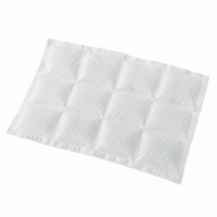 Ice Pack Sheet 3 x 4 cellen (200 x 280 mm) - 1000 stuks