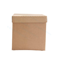 Eco Coolbox 600 x 400 x 375 mm (Pallet 50 Stuks)